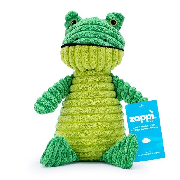 Sensory Dog Toy - Frog