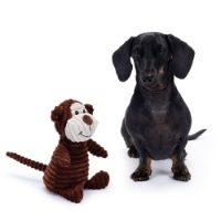 Sensory Dog Toy - Monkey