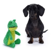 Sensory Dog Toy - Frog